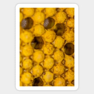 Bee nursery Sticker